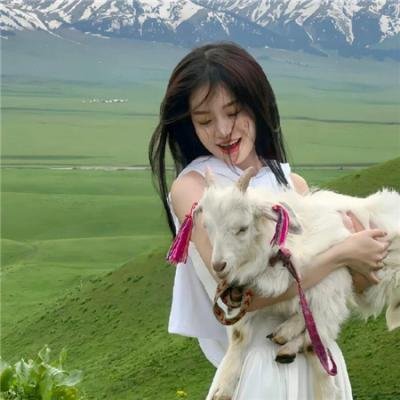 我与拿破仑